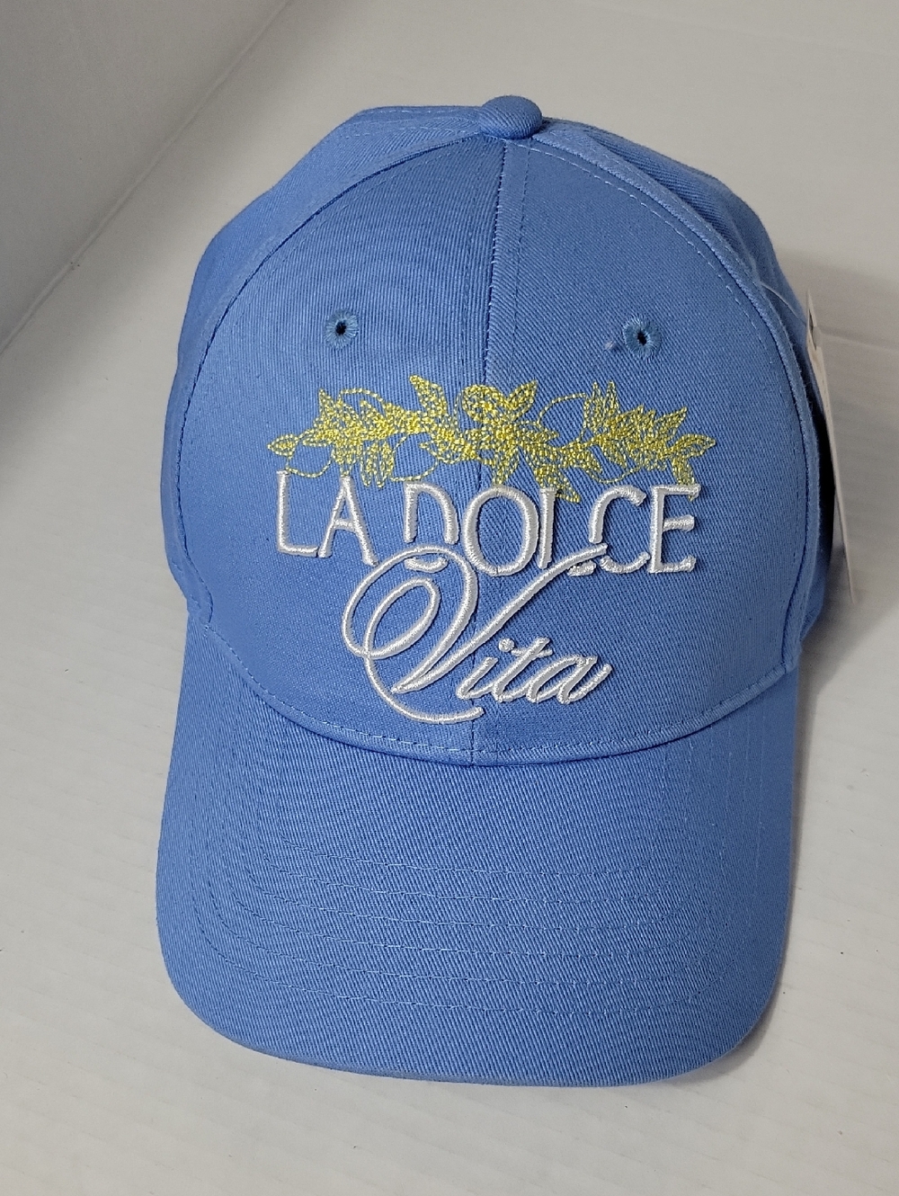 Anthropologie Light Blue Embroidered Baseball Cap
